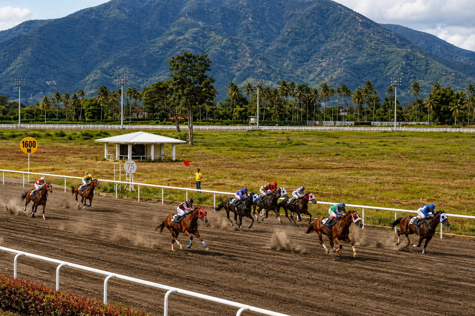 MetroTurf racing facility view